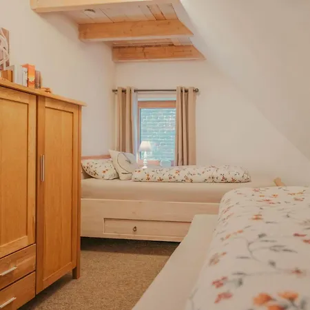 Kamin-haus-nr-2-mit-sauna-in-burg Semesterbostad Fehmarn